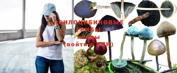 гидра Алзамай